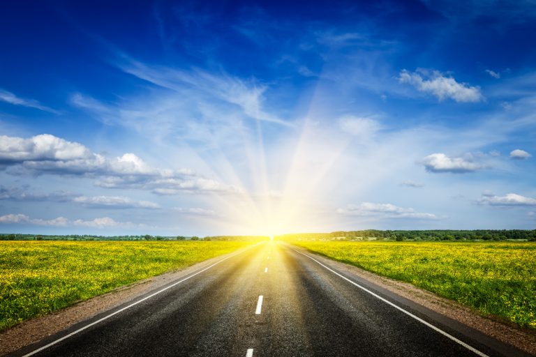 Road in blooming spring meadow